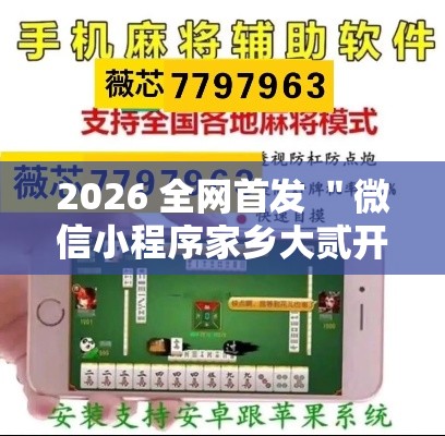 2026 全网首发 ＂微信小程序家乡大贰开挂器”详细辅助教程分享