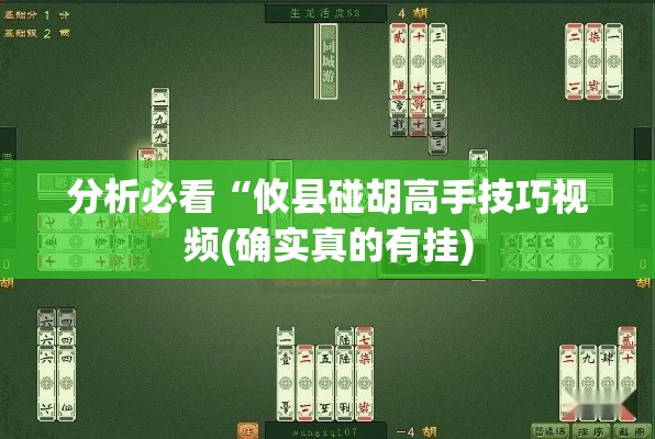 分析必看“攸县碰胡高手技巧视频(确实真的有挂)