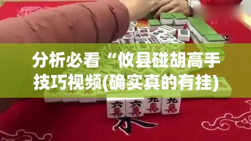 分析必看“攸县碰胡高手技巧视频(确实真的有挂)