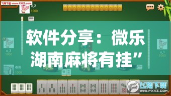 软件分享：微乐湖南麻将有挂”(透视)辅助透视教程