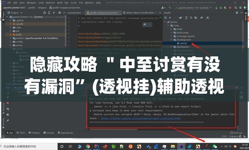 隐藏攻略 ＂中至讨赏有没有漏洞	”(透视挂)辅助透视教程