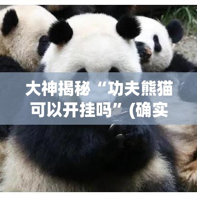 大神揭秘“功夫熊猫可以开挂吗	”(确实是有挂)知乎