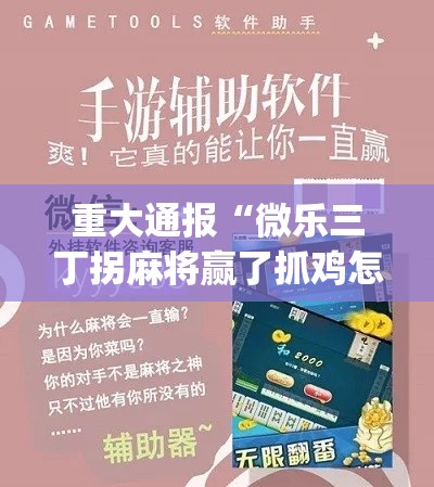 重大通报“微乐三丁拐麻将赢了抓鸡怎么算的	”作弊挂(辅助外挂+教程)