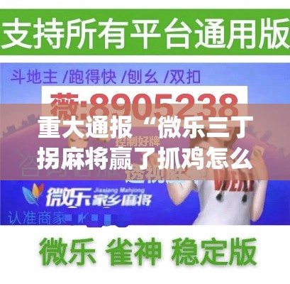 重大通报“微乐三丁拐麻将赢了抓鸡怎么算的”作弊挂(辅助外挂+教程)