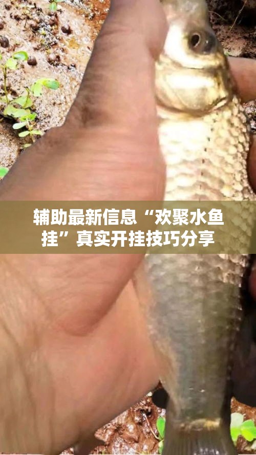 辅助最新信息“欢聚水鱼挂”真实开挂技巧分享