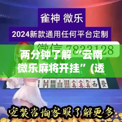 两分钟了解“云南微乐麻将开挂	”(透视挂)详细用法教程
