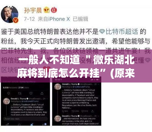 一般人不知道 ＂微乐湖北麻将到底怎么开挂	”(原来确实是有插件)