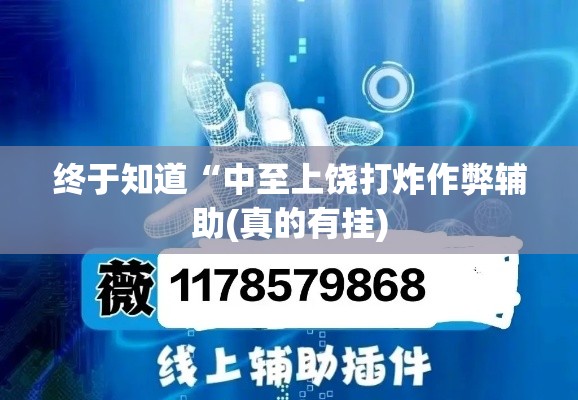 终于知道“中至上饶打炸作弊辅助(真的有挂) 终于知道“中至上饶打炸作弊辅助(真的有挂)