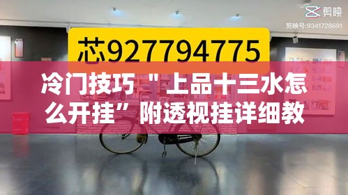 冷门技巧 ＂上品十三水怎么开挂	”附透视挂详细教程