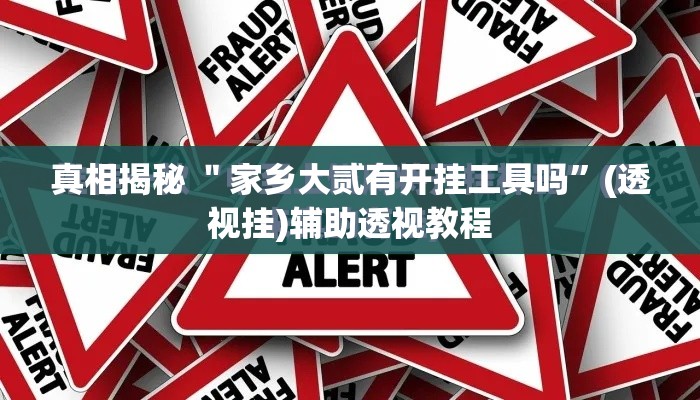 真相揭秘 ＂家乡大贰有开挂工具吗”(透视挂)辅助透视教程