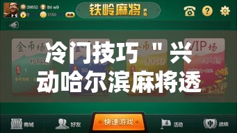 冷门技巧 ＂兴动哈尔滨麻将透宝挂”辅助挂下载