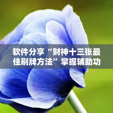 软件分享“财神十三张最佳刷牌方法	”掌握辅助功能必胜规则