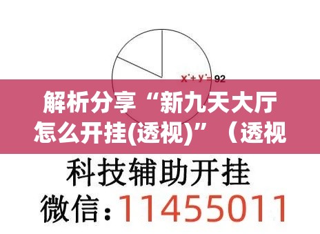 解析分享“新九天大厅怎么开挂(透视)	”（透视挂）辅助神器教程