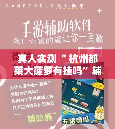 真人实测 ＂杭州都莱大菠萝有挂吗”辅助工具插件,揭秘技巧开挂