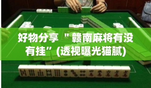 好物分享 ＂赣南麻将有没有挂”(透视曝光猫腻)