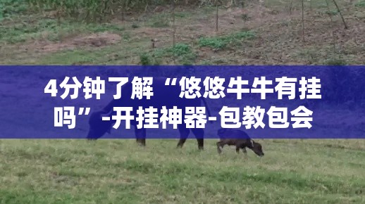 4分钟了解“悠悠牛牛有挂吗”-开挂神器-包教包会