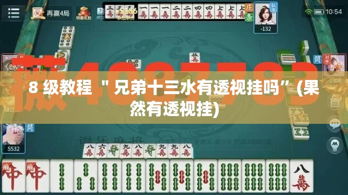 8 级教程 ＂兄弟十三水有透视挂吗	”(果然有透视挂)