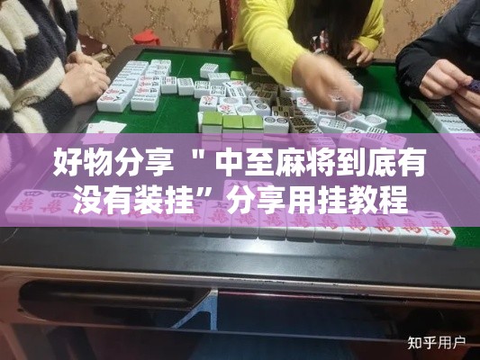 好物分享 ＂中至麻将到底有没有装挂”分享用挂教程
