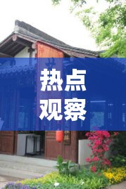 热点观察 ＂滇南茶馆其实是可以开挂”实测确实有挂