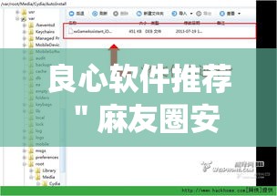 良心软件推荐 ＂麻友圈安全版开挂教程”(必备工具)辅助教学