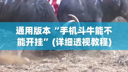 通用版本“手机斗牛能不能开挂”(详细透视教程)-知乎