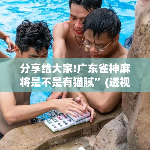 分享给大家!广东雀神麻将是不是有猫腻”(透视)开挂辅助脚本+详细开挂安装教程