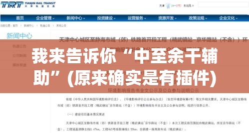 我来告诉你“中至余干辅助”(原来确实是有插件)