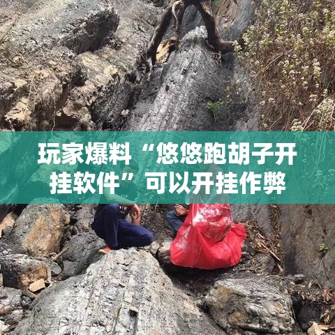 玩家爆料“悠悠跑胡子开挂软件”可以开挂作弊