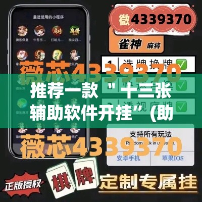 推荐一款 ＂十三张辅助软件开挂”(助赢详细开挂教程)