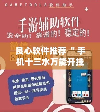 良心软件推荐 ＂手机十三水万能开挂器通用版	”开挂(透视)辅助教程