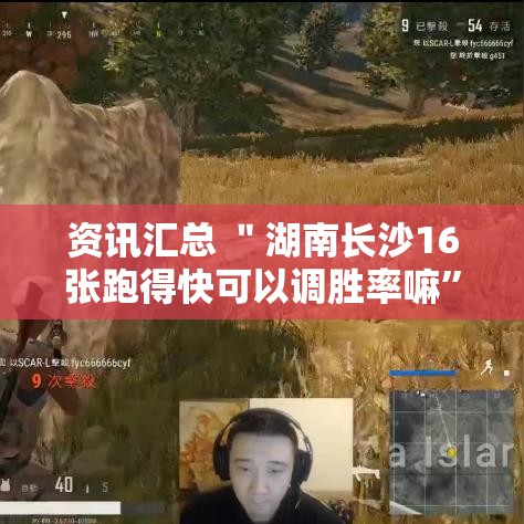 分析必看“懒人斗十四确实真的有挂”其实有开挂插件!