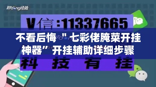 不看后悔 ＂七彩佬腌菜开挂神器”开挂辅助详细步骤