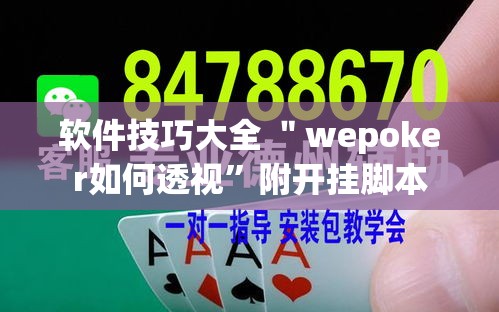 软件技巧大全 ＂wepoker如何透视	”附开挂脚本