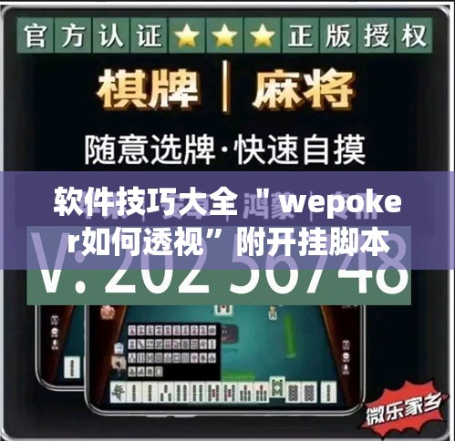 软件技巧大全 ＂wepoker如何透视”附开挂脚本