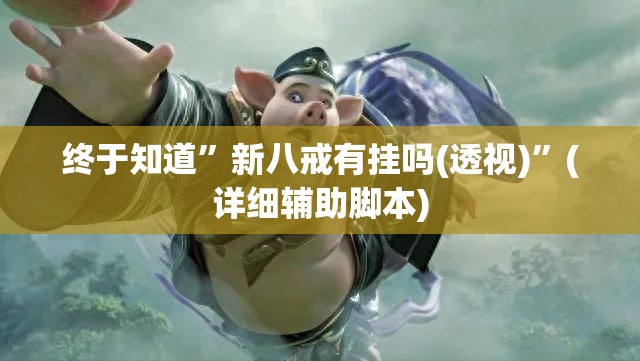 终于知道”新八戒有挂吗(透视)	”(详细辅助脚本)