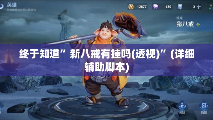 终于知道”新八戒有挂吗(透视)	”(详细辅助脚本)