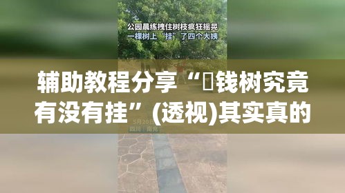 必看科普“蜂娱棋牌开挂”-原来有挂