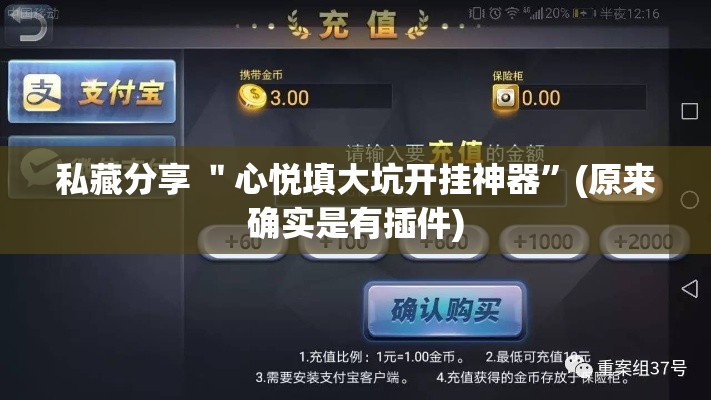 私藏分享 ＂心悦填大坑开挂神器”(原来确实是有插件)