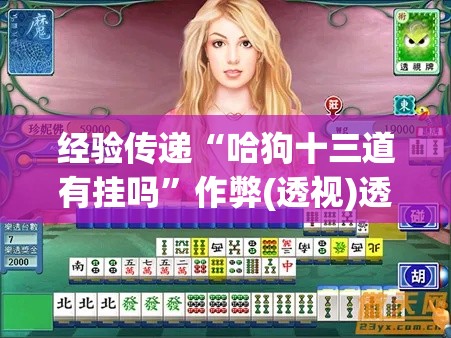经验传递“哈狗十三道有挂吗	”作弊(透视)透视辅助