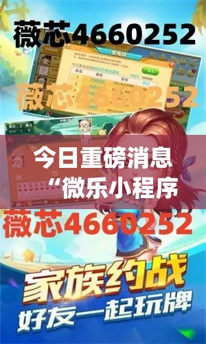 今日重磅消息“微乐小程序黑科技”(果然有透视挂)
