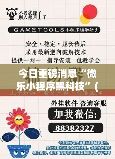 今日重磅消息“微乐小程序黑科技”(果然有透视挂)