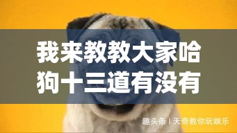 我来教教大家哈狗十三道有没有挂(确实真的有挂) 我来教教大家哈狗十三道有没有挂(确实真的有挂)