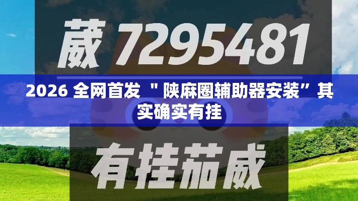 2026 全网首发 ＂陕麻圈辅助器安装”其实确实有挂