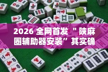 2026 全网首发 ＂陕麻圈辅助器安装”其实确实有挂