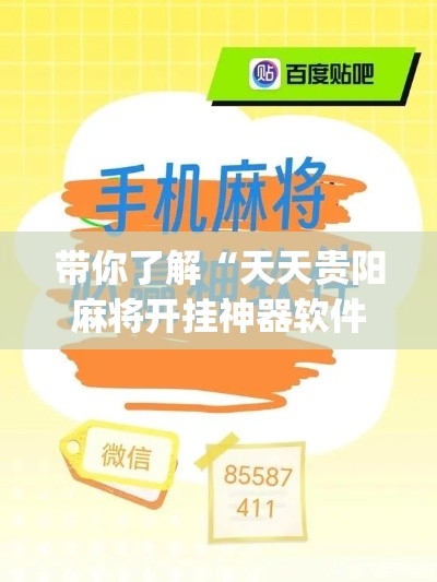 带你了解“天天贵阳麻将开挂神器软件”(确实真的有挂)