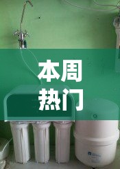 本周热门汇总 ＂海洋十三水开挂辅助器”实测确实有挂