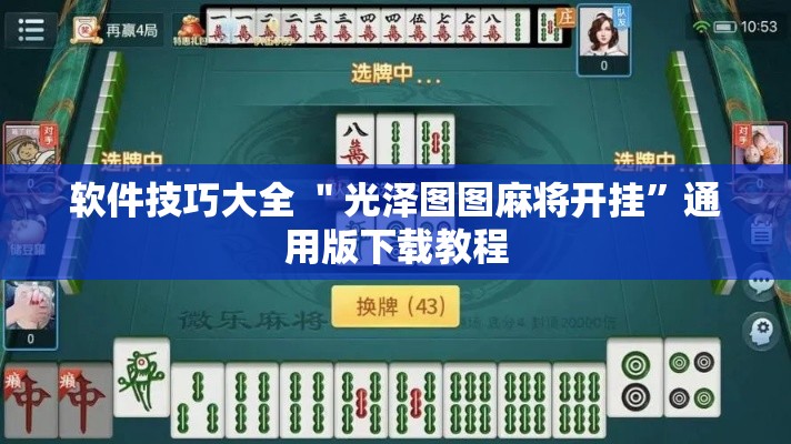 软件技巧大全 ＂光泽图图麻将开挂”通用版下载教程