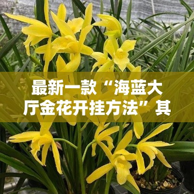 最新一款“海蓝大厅金花开挂方法”其实确实有挂