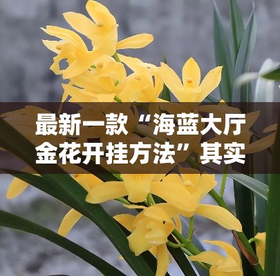 最新一款“海蓝大厅金花开挂方法”其实确实有挂