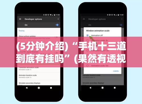 (5分钟介绍)“手机十三道到底有挂吗”(果然有透视挂)
